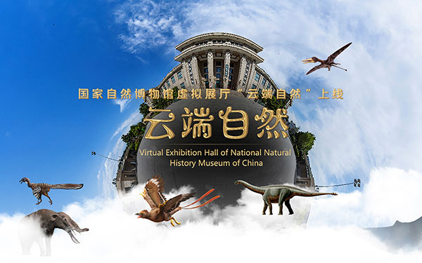 三維數(shù)字化虛擬博物館和數(shù)字博物館的區(qū)別在哪？