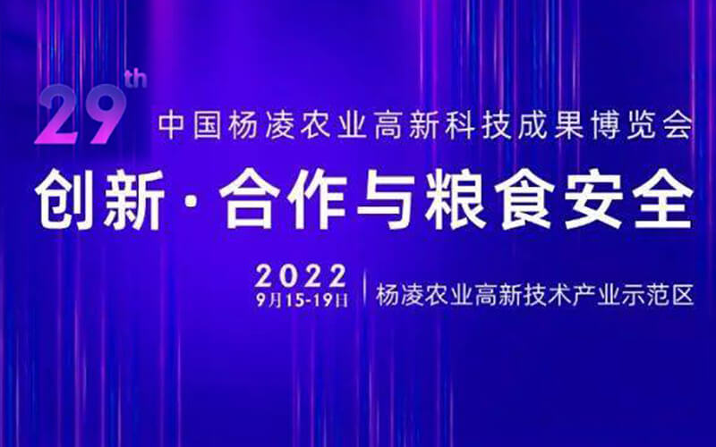 云上農(nóng)高會(huì)云看展攻略，從六大方面了解虛擬展廳展館在線展示