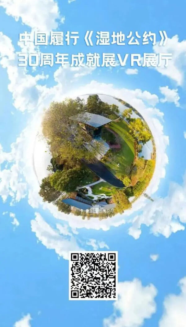 在線VR展廳設(shè)計(jì)公司推薦