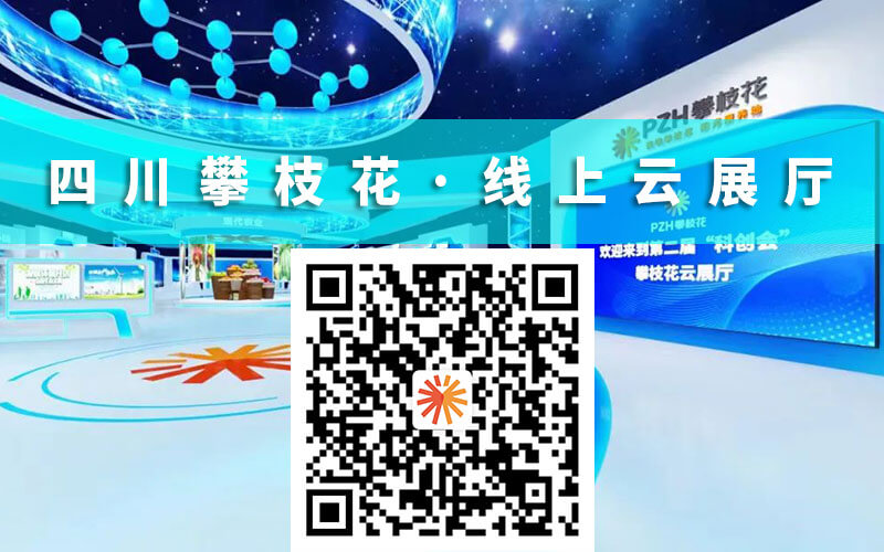 線上云展廳